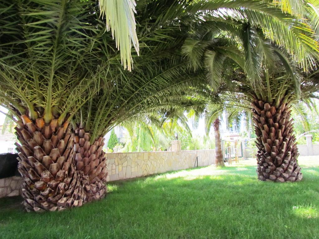 Dalyan Palmiye Resort Hotel Esterno foto