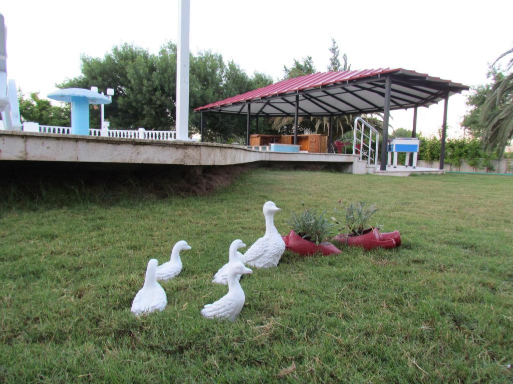 Dalyan Palmiye Resort Hotel Esterno foto