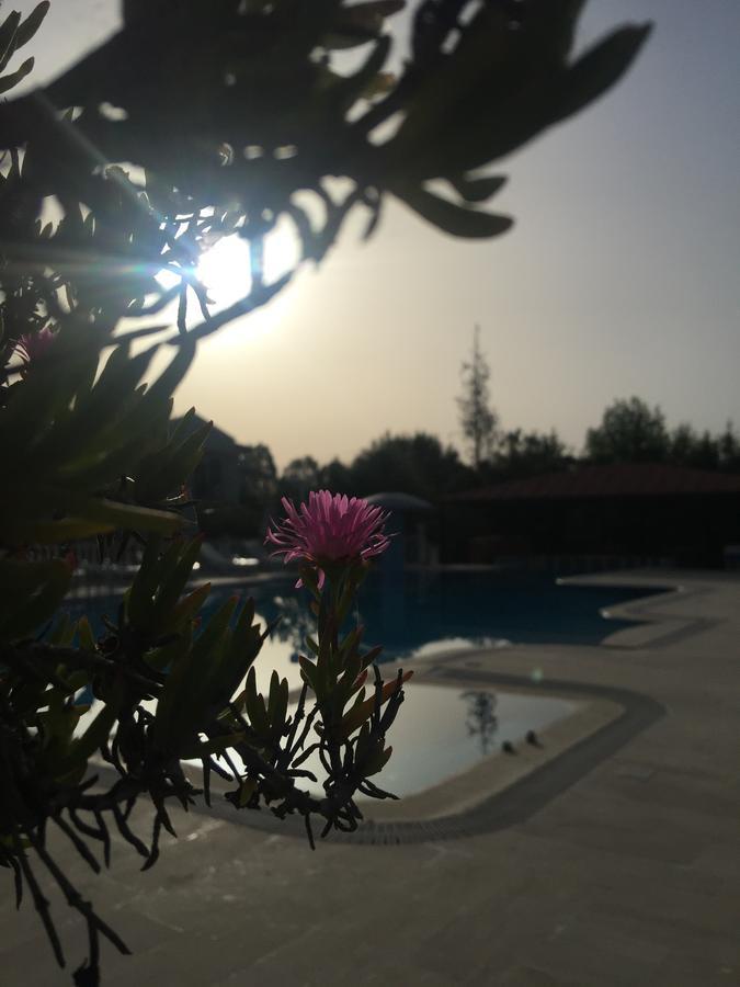 Dalyan Palmiye Resort Hotel Esterno foto