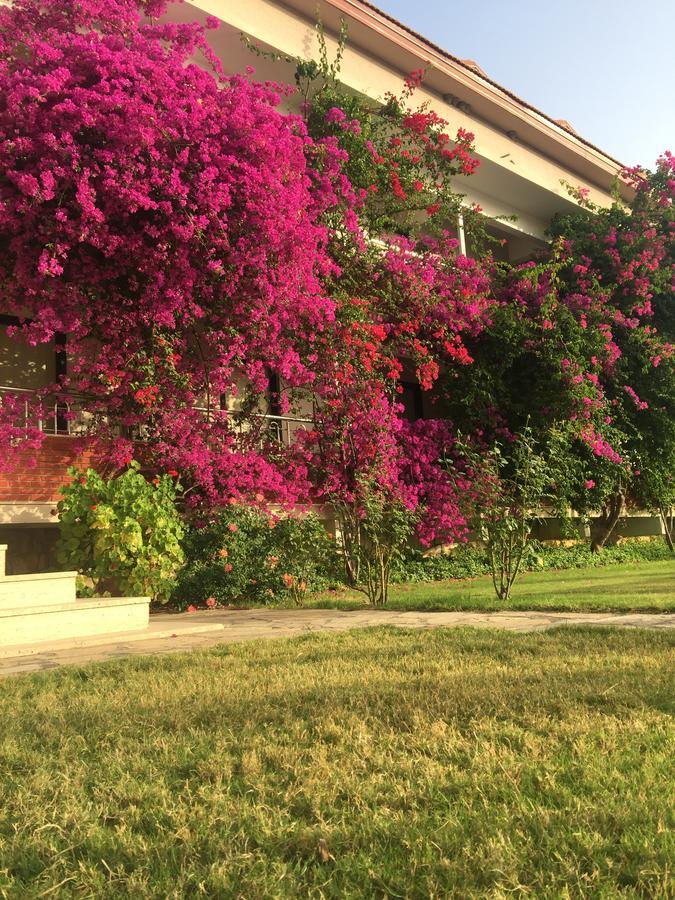 Dalyan Palmiye Resort Hotel Esterno foto
